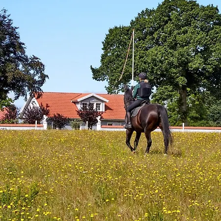 Holiday home Mollegade 1 House Nordborg