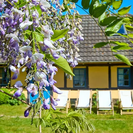 Mollegade 1 House * Nordborg