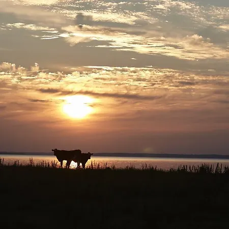 Mollegade 1 House Casa de Férias