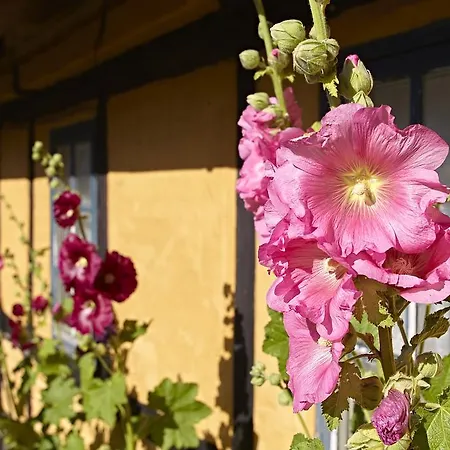 بيت للعطل Mollegade 1 House *