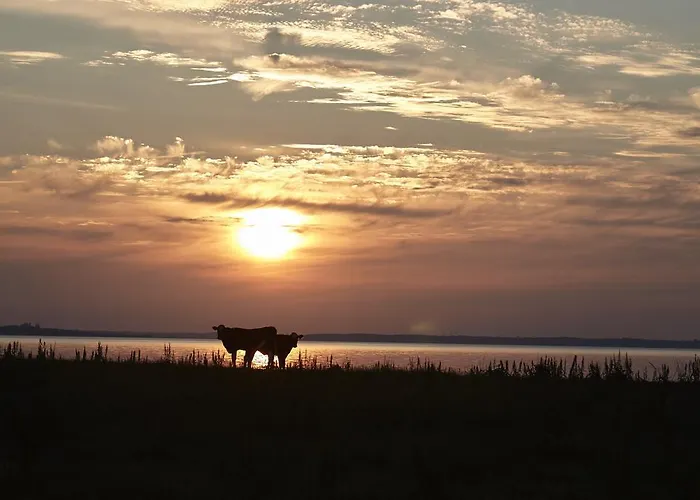 Mollegade 1 House بيت للعطل