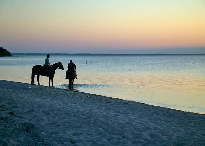 Mollegade 1 House بيت للعطل *