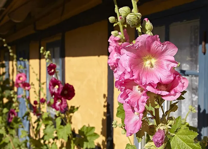 بيت للعطل Mollegade 1 House *