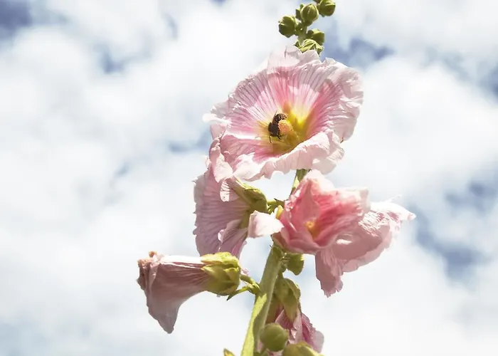 بيت للعطل Mollegade 1 House *