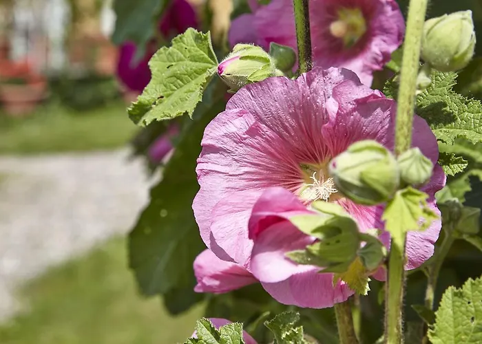 Casa de Férias Mollegade 1 House *